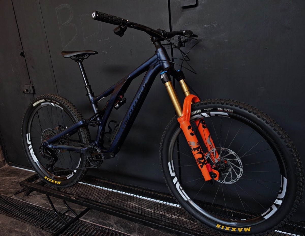 Specialized Stumpjumper EVO Edición Especial, foto 2