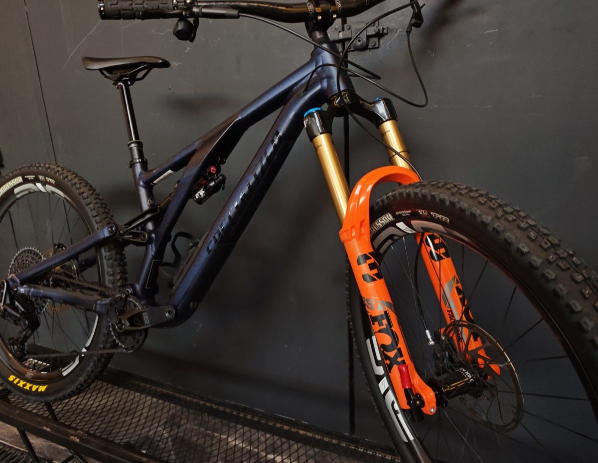 Specialized Stumpjumper EVO Edición Especial, foto 6